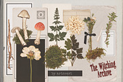 The Witching Archive, an Object Graphic by nadispasibenko (Thumbnail 4 of 10)
