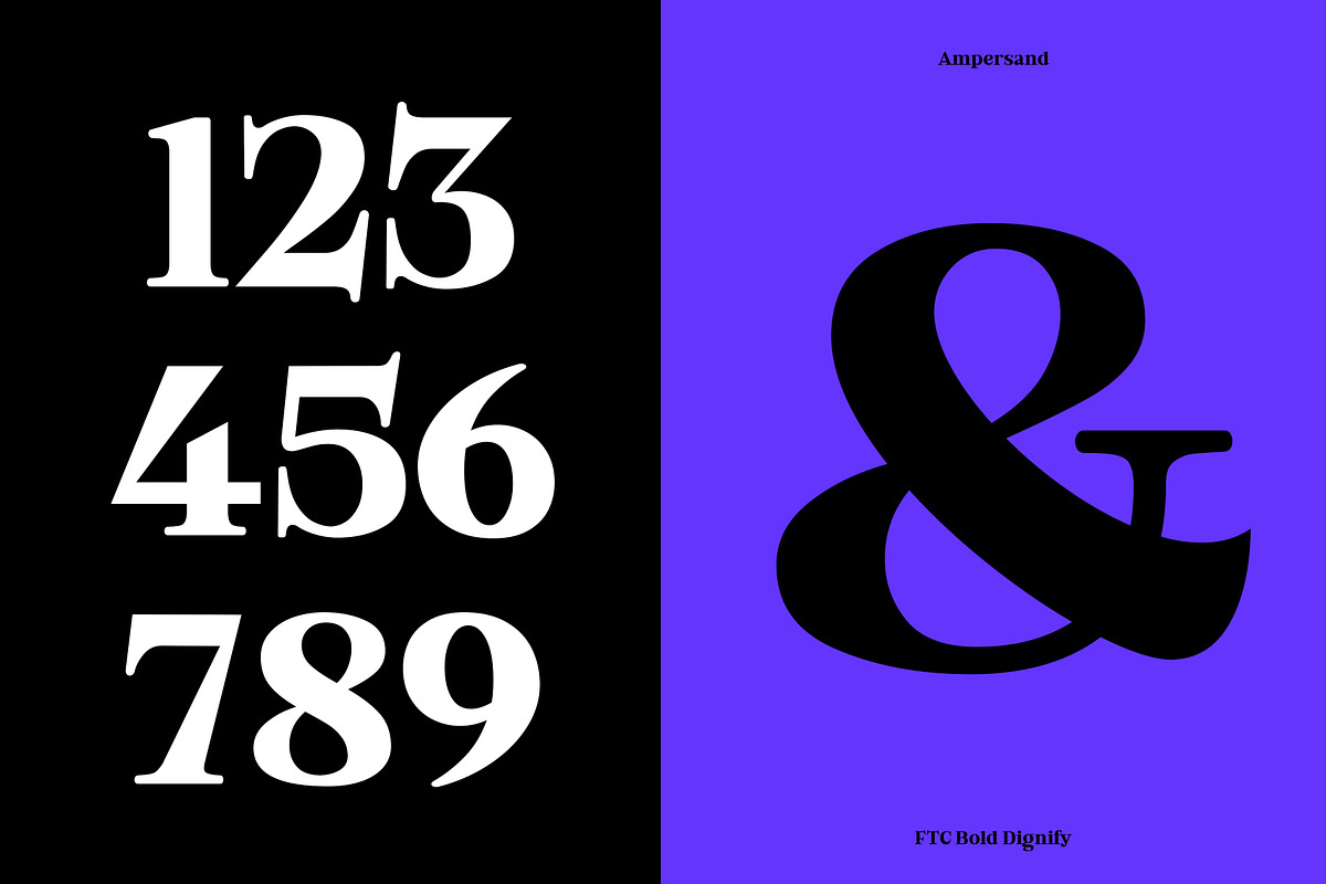 Bold Dignify - Minimalist Calm Serif, a Serif Font by Fridaytype (Photo 5 of 12)