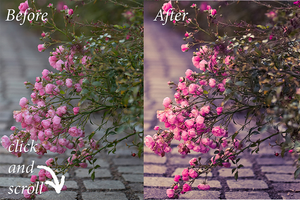 40 Macro Lr Presets preview 2