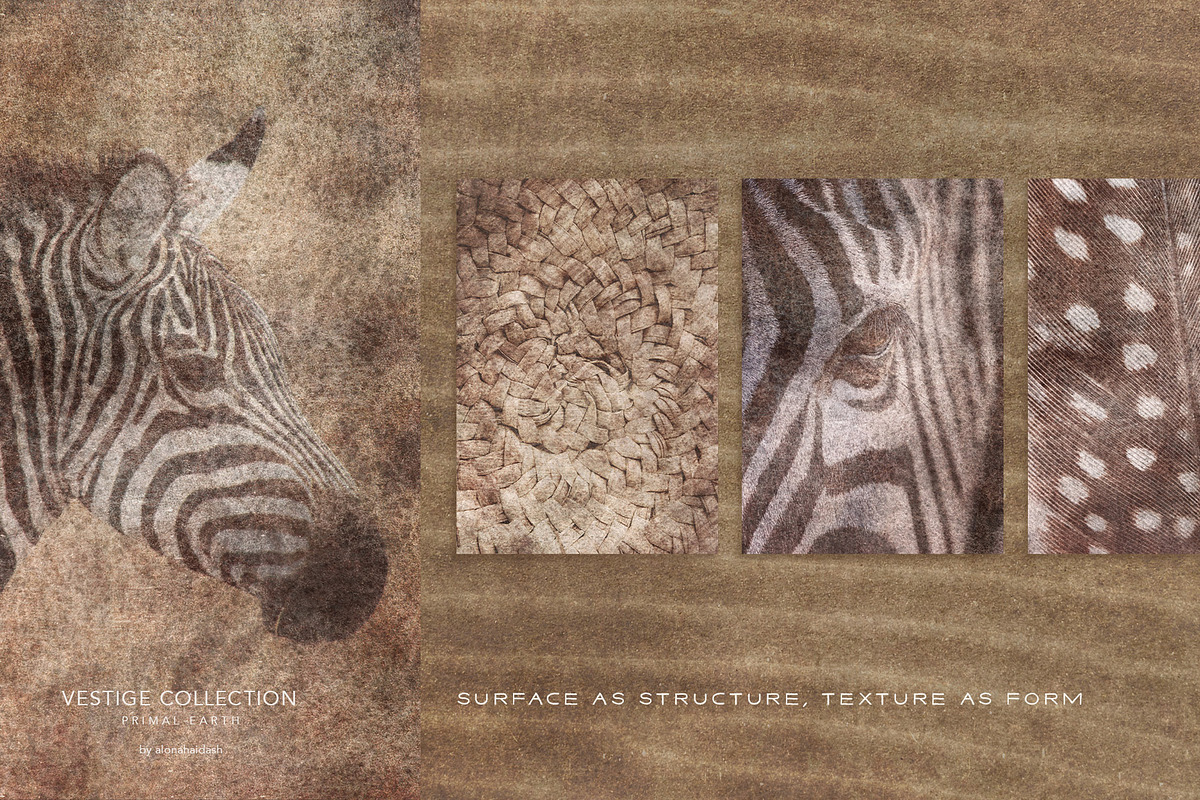Vestige · Primal Earth Backgrounds, a Background Graphic by alonahaidash (Photo 8 of 16)