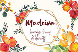 Watercolor Flowers, Frames, Bouquets