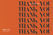 Redland, a Serif Font by FactoryType Studio (Thumbnail 10 of 10)