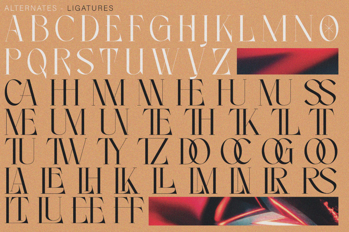 Noleum - Display Serif, a Serif Font by executypeStudio (Photo 10 of 12)