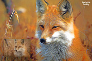 Exotic Canvas PS Actions Bundel, an Action Add-On by Amorjesu.com (Thumbnail 90 of 104)