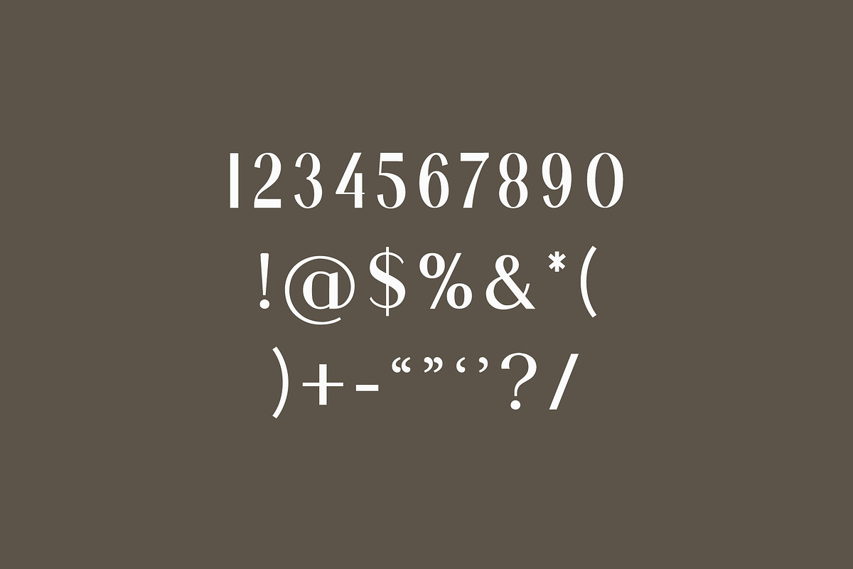 Silvania Modern Serif Font, a Serif Font by UICreative (Photo 4 of 12)