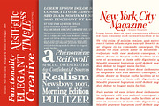 Actualis - Serif Font Family, a Serif Font by Artistic & Unique (Thumbnail 5 of 15)