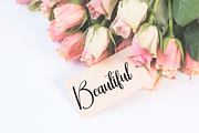 Homestay | Script Font, a Handwritten Font by Scratchones (Thumbnail 3 of 8)