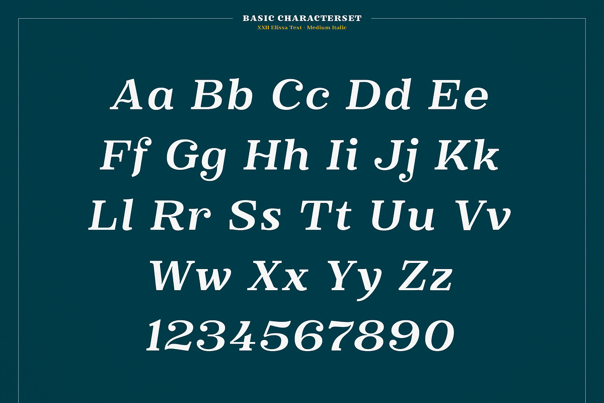 XXII Elissa, a Serif Font by Doubletwo Studios (Photo 14 of 25)