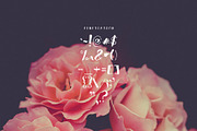 Thick N Thin, a Font by Rowlison Creative (Thumbnail 4 of 10)