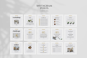 Carousel Instagram Stories & Posts