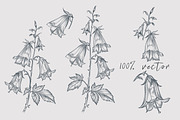 Floral Patterns & Vector Elements, a Decorative Illustration by FleurArt (Thumbnail 4 of 6)