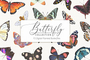 15 Hand Painted Butterflies, an Animal Illustration by Brianna Perdue (Thumbnail 1 of 3)