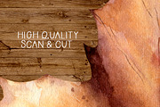 Autumn Harvest Watercolor Clipart, an Illustration by Sha1nee (Thumbnail 6 of 6)