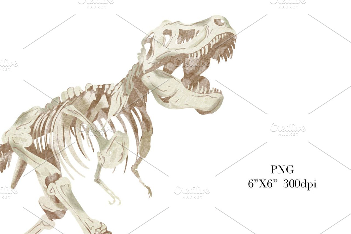 Dinosaur Skeleton Watercolor, an Animal Illustration by NKTKNS (Photo 5 of 6)