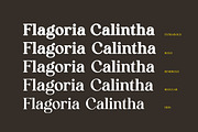 Flagoria Calintha Serif Font Family, a Serif Font by UICreative (Thumbnail 5 of 14)