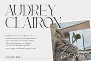 Michelia - Modern & Aesthetic, a Serif Font by ErgibiStudio (Thumbnail 2 of 12)