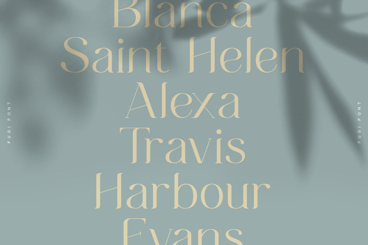 Fugi Font, a Serif Font by vuuuds (Photo 6 of 15)