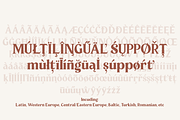 Tropical County - Modern Serif, a Serif Font by Fikryal Studio (Thumbnail 13 of 19)