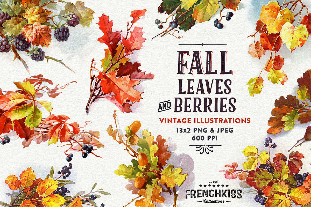 Fall Leaves and Berries, an Illustration by French Kiss Collections (Photo 1 of 7)
