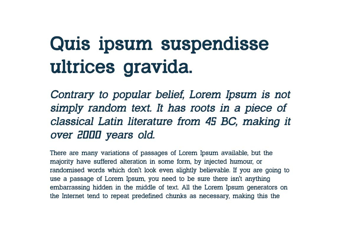 Montclair Classy Serif Family Font, a Serif Font by UICreative (Photo 3 of 13)