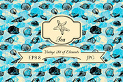 Seashells set, an Object Graphic by cat_arch_angel (Thumbnail 1 of 5)