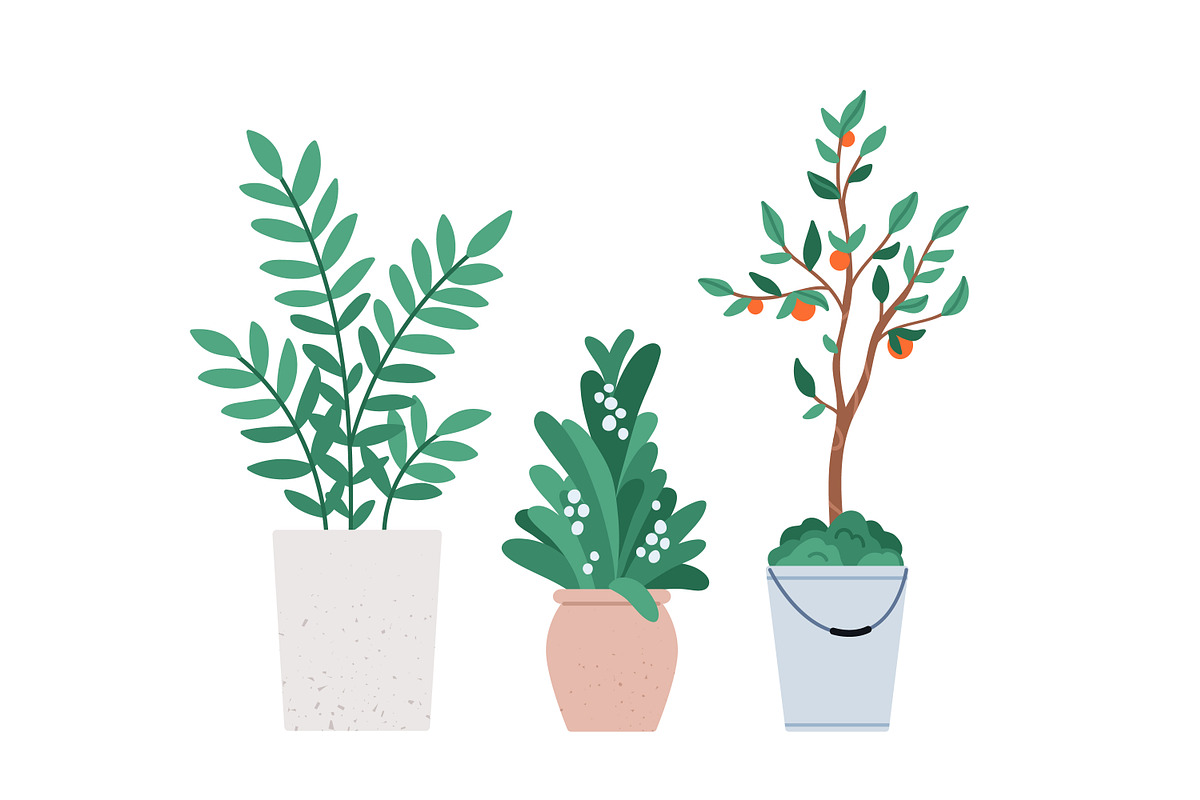 House plants, flowers in pots set, an Object Illustration by Good Studio (Photo 4 of 5)