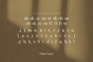 Palmer Sorjan - A Modern Serif