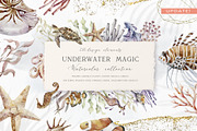Underwater Magic. Marine Bundle., an Animal Illustration by Designwork (Thumbnail 1 of 21)