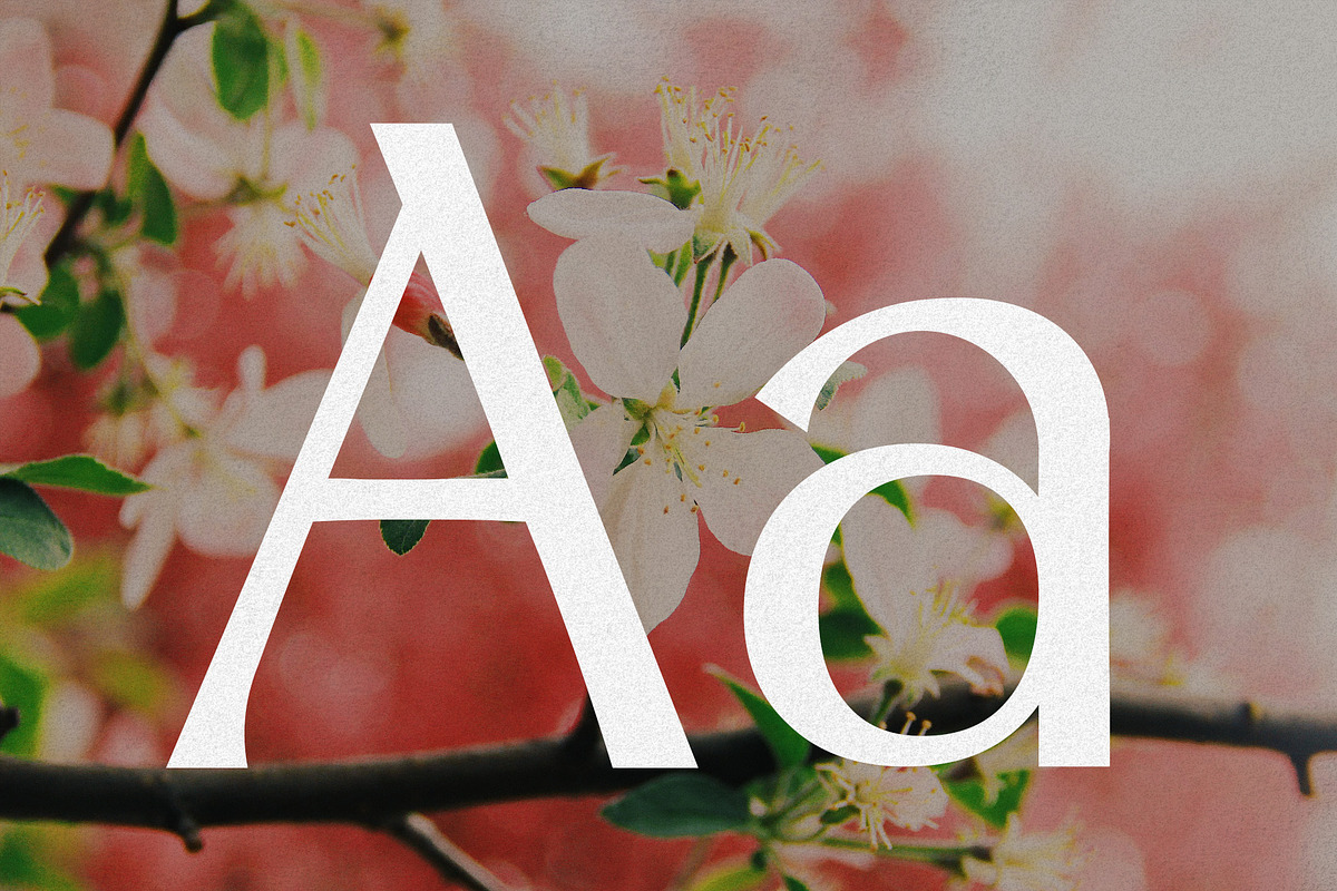 Spring Melody - Humanist Typeface, a Sans Serif Font by HipFonts (Photo 2 of 7)