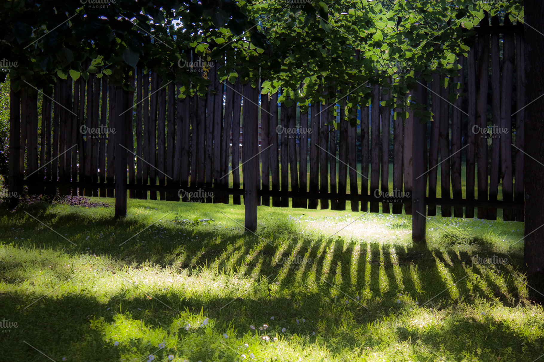 Fence Shadow (landscape)