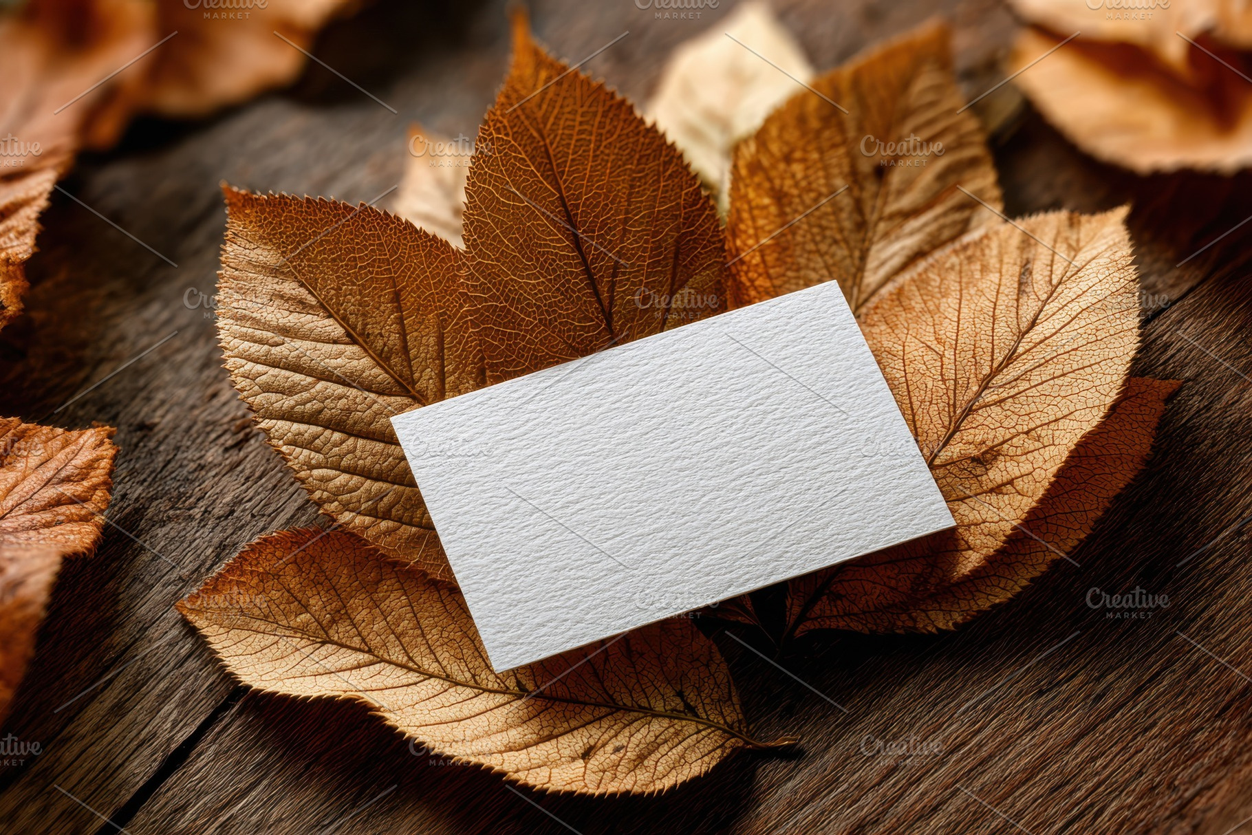 Blank card on autumn leaves rustic w, a Photo by Pixeness Studio