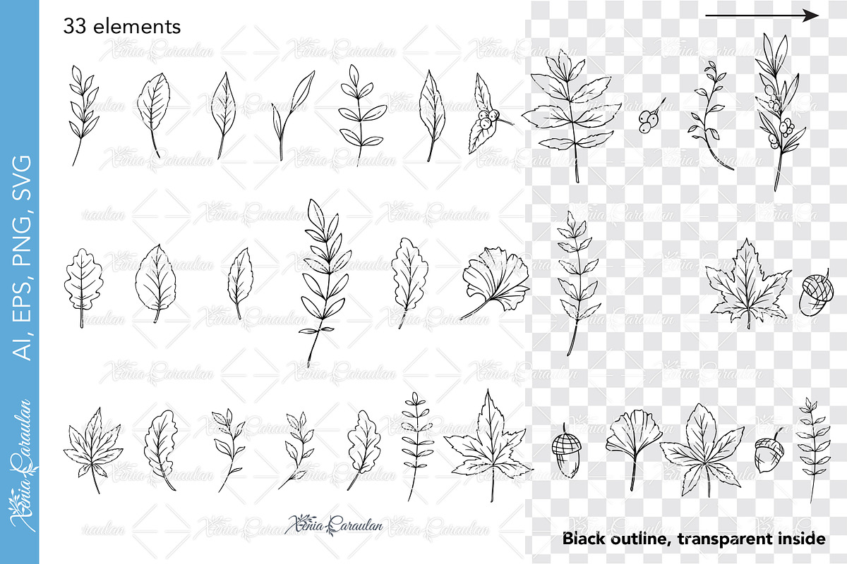 Fall Greenery Collection, an Object Graphic by CaraulanStore (Photo 4 of 8)
