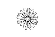 Daisy Flower Line Art Vector Bundle0, an Illustration by jahid234 (Thumbnail 25 of 51)