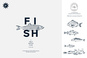 The Saltwater Fish Collection, an Animal Illustration by dicreate (Thumbnail 1 of 6)