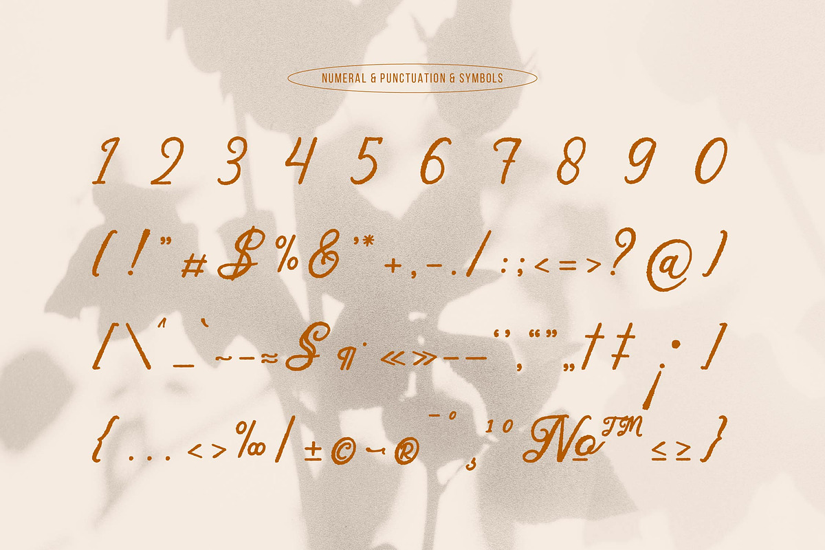 Dyatorn | Brush Handwritten Font, a Script Font by gracetype_studio (Photo 12 of 14)