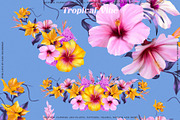 Floral Tropical Vibe, a Wallpaper Graphic by nadispasibenko (Thumbnail 19 of 21)
