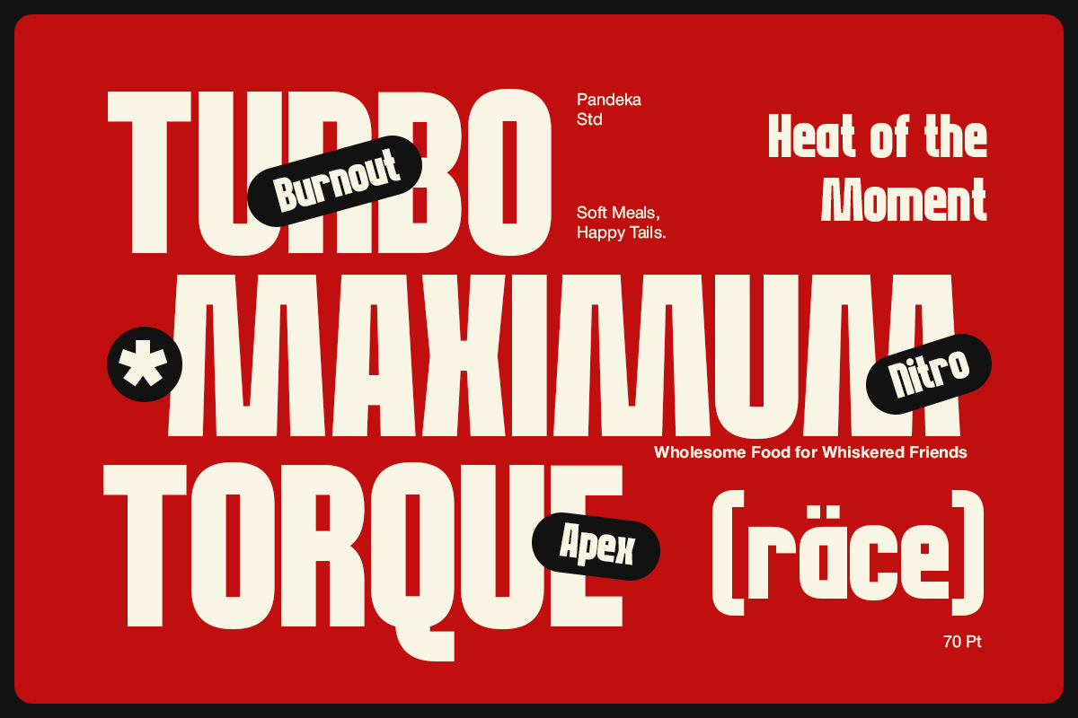 Guaro - Bold Sport Condensed Font, a Sans Serif Font by Pandeka Studio (Photo 3 of 9)