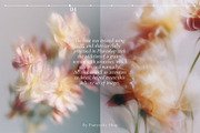 Airy flowers- Blurred floral set, a Background Graphic by Pamyatka Shop (Thumbnail 4 of 11)