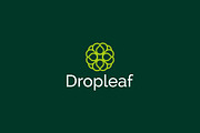 Dropleaf – Modern Nature Logo Design, a Branding & Logo Template by arhabib (Thumbnail 6 of 13)