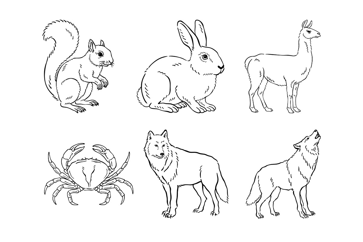 Wild Animals Line Art, an Animal Illustration by Tekuni (Photo 11 of 12)