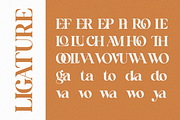 Mobigail - Modern Retro Stylish, a Serif Font by Qweera Studio (Thumbnail 11 of 12)