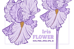 Iris Flower Purple Line Art Vector