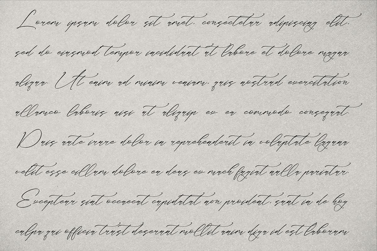 Classthy Theriond Chic Calligraphy, a Script Font by Storytype Studio (Photo 4 of 15)