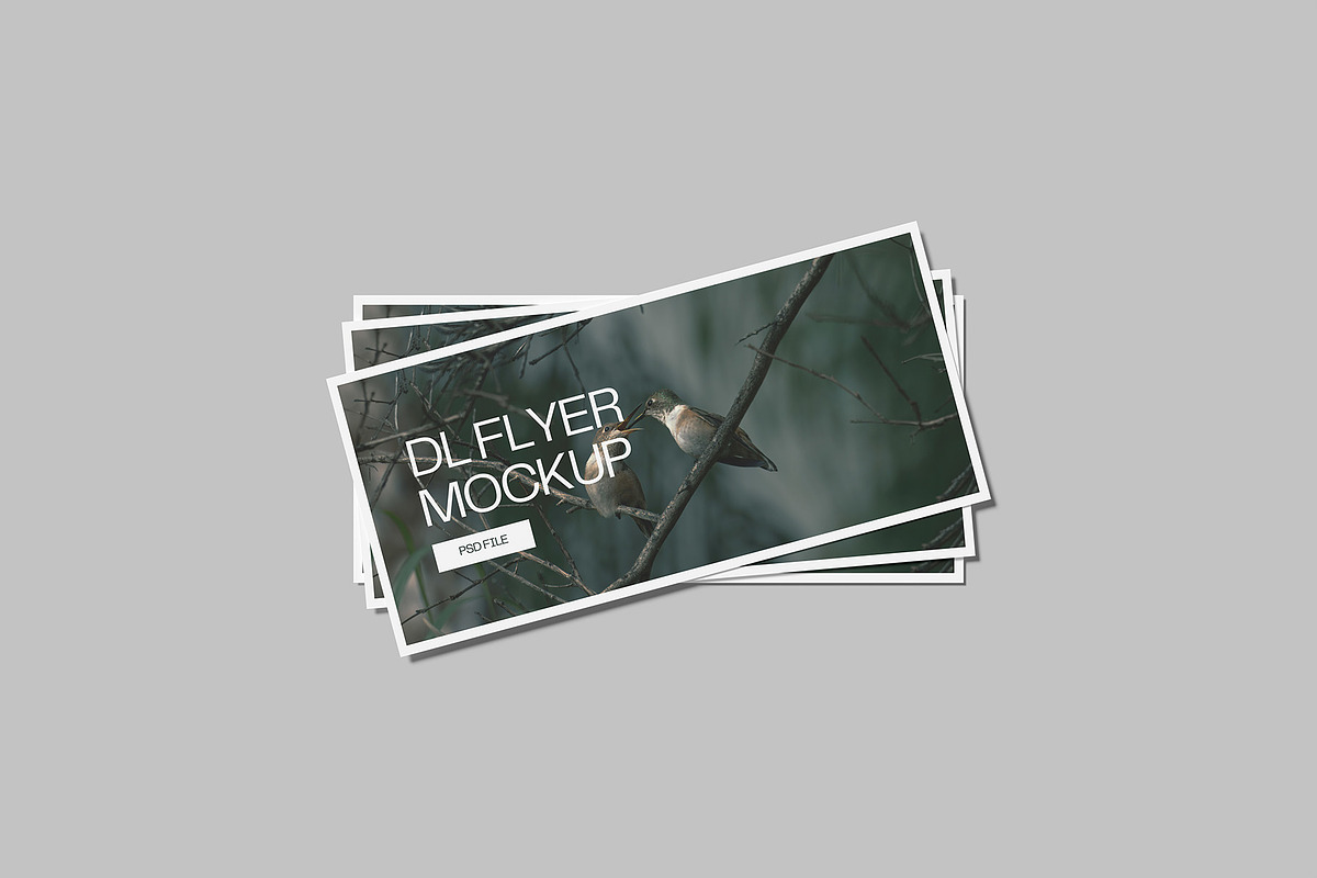 Landscape DL Flyer Mockup, a Print Template by Graphiculon (Photo 8 of 13)
