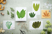 19 Tropical Leaves Foliage Plant, a Decorative Illustration by jongcreative (Thumbnail 2 of 6)