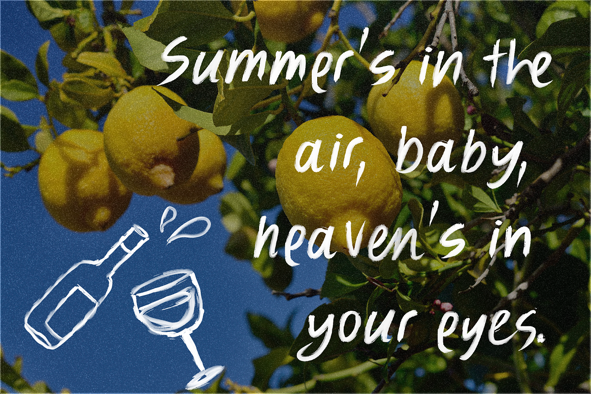 La Dolce Estate SVG Brush Font, a Handwritten Font by The Gelato Type (Photo 14 of 19)