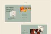 Orchid | E-commerce UI KIT Template, a Landing Page Template by Skolastika Phoebe (Thumbnail 7 of 7)