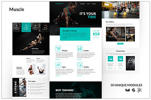 Muscle Template + Online Builder