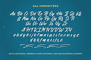Blue Phantom Script, a Script Font by Letterhend Studio (Thumbnail 10 of 10)