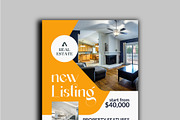 Real Estate House Flyers, a Flyer Template by RAHMAT (Thumbnail 2 of 3)